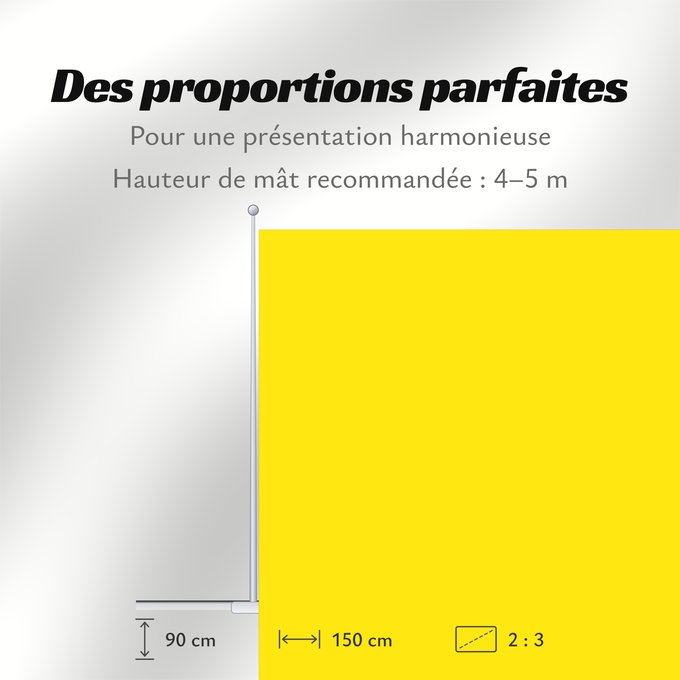 Proportions du drapeau : Zingem	Belgian municipality Zingem