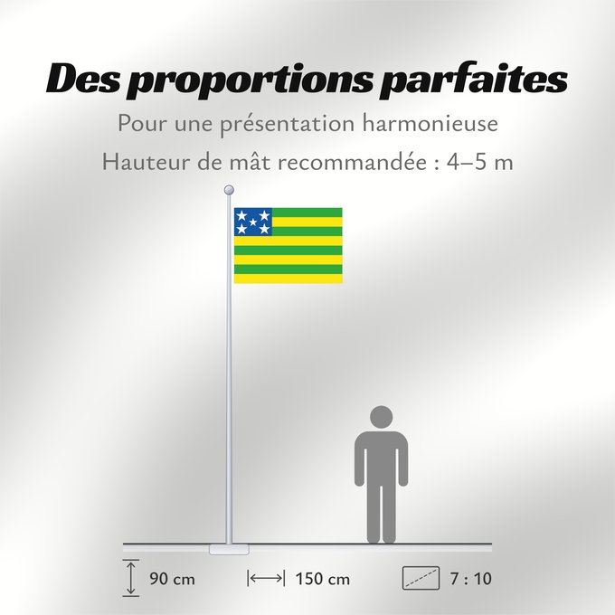 Proportions du drapeau : Goiás