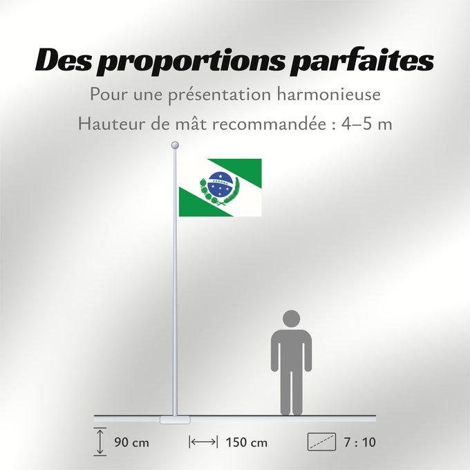 Proportions du drapeau : Paraná