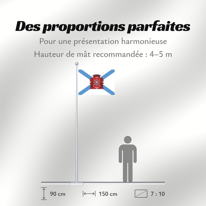 Proportions du drapeau : Cidade do Rio de Janeiro City of Rio de Janeiro Rio de Janeiro Río de Janeiro Stadt Rio de Janeiro