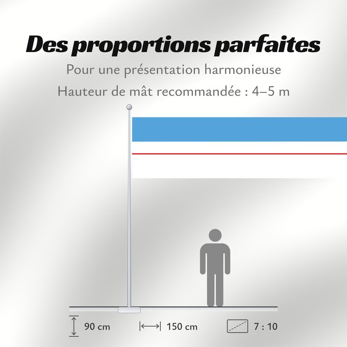 Proportions du drapeau : Roraima