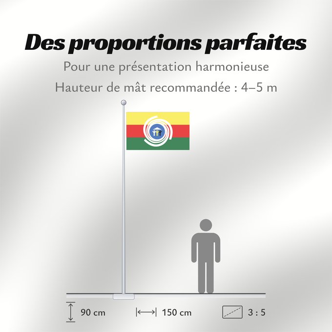 Proportions du drapeau : Araguaina Tocantins Brasil Araguaína Município de Araguaína no Estado do Tocantins