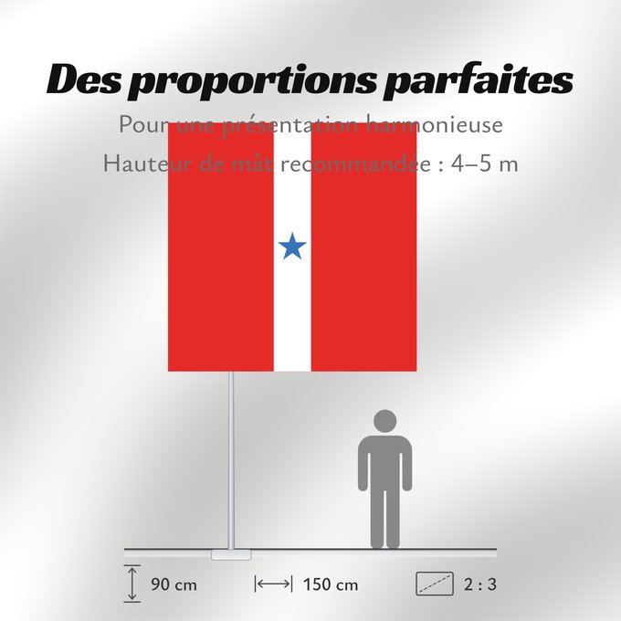Proportions du drapeau : Pará  variante	Variante  maybe formal  flag of Pará	Pará (variante)	Pará (Variante)	Possível versão original da bandeira do Pará e do Clube Republicano Paraense