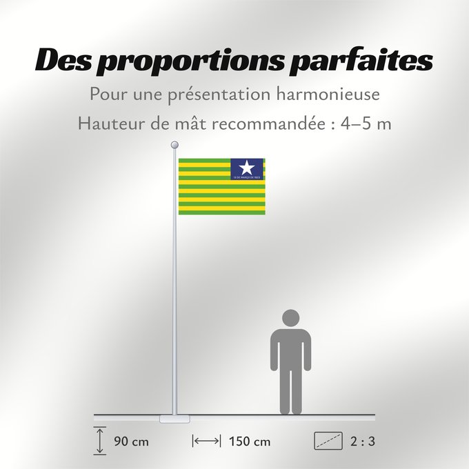 Proportions du drapeau : Piauí verso Verse of the flag of the state of Piaui designed by me in accordance with the state law of 1,050 Piauí (envers) Piauí (reverso) Piauí (Rückseite) Versetto di bandiera dello stato di Piauí progettato da me in conformità con la legge n Verso da
