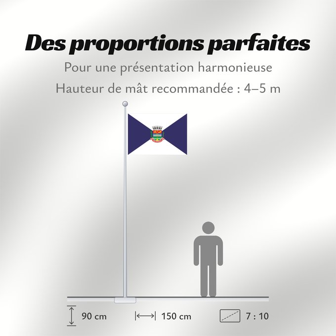 Proportions du drapeau : São Gonçalo	São Gonçalo, RJ, Brazil