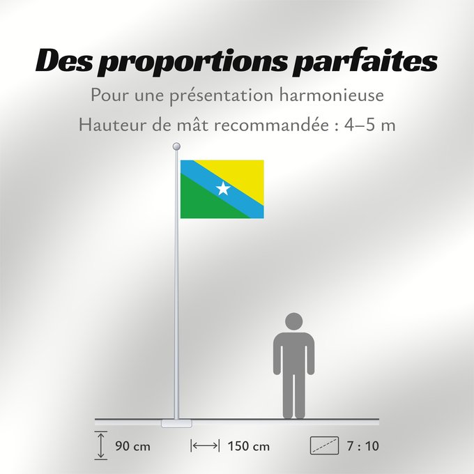 Proportions du drapeau : Urupá Municipality of Urupá in the State of Rondônia Município de Urupá no Estado de Rondônia