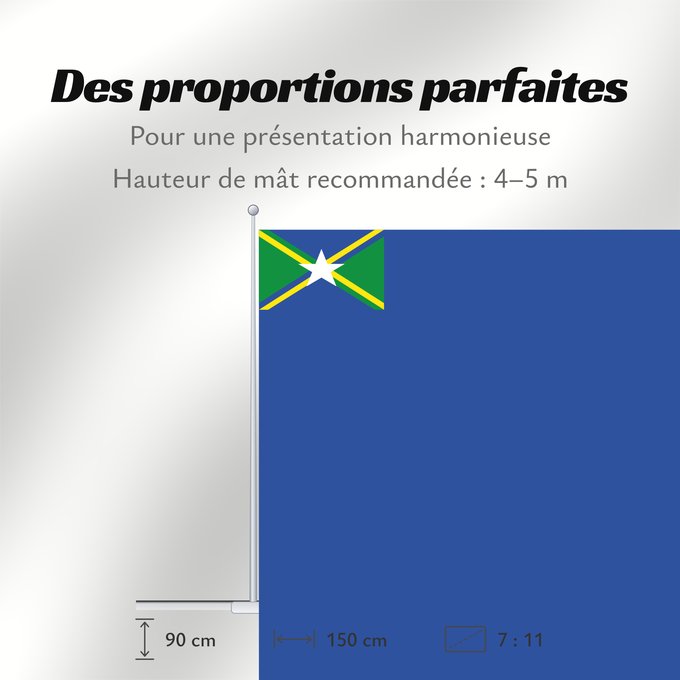 Proportions du drapeau : Vale do Anari City of Vale do Anari, Rondônia, Brazil
