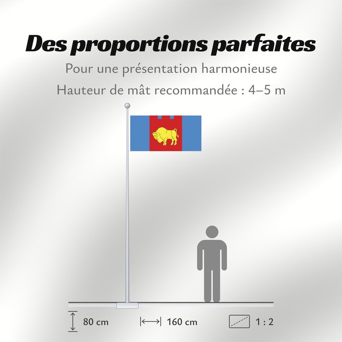 Proportions du drapeau : Brest Voblast, Belarus	Brest voblast, Belarus	Voblast de Brest, Biélorussie	Voblast de Brest, Bielorussia	Brest-Woblast	Voblast di Brest	Сцяг Брэсцкай вобласці	Флаг Брестской области	Прапор Берестейської області