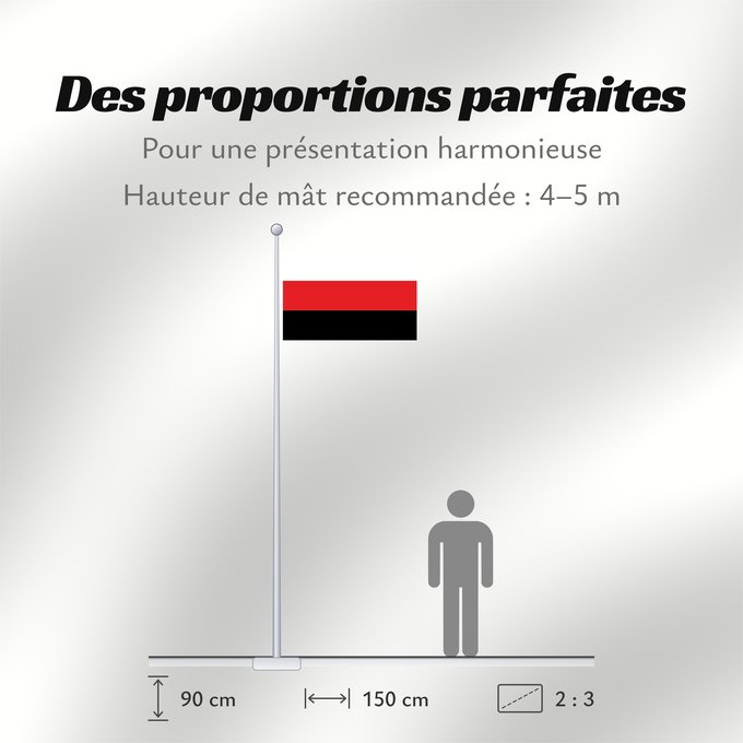 Proportions du drapeau : Partit Llibertat Bielorus	Belarusian Freedom Party	Parti de la Liberté de Biélorussie	Partido de la Libertad de Bielorrusia	Freiheitspartei von Belarus	Partito della Libertà bielorusso	Partit de la Llibertat Bielorus