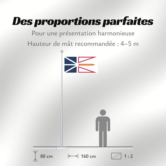 Proportions du drapeau : Newfoundland and Labrador	Terre-Neuve-et-Labrador	Terranova y Labrador	Neufundland und Labrador	Terranova	Banniel Douar-Nevez ha Labrador