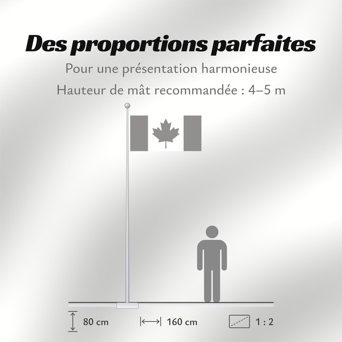 Proportions du drapeau : CanadaFlagBW	National Flag of Canada