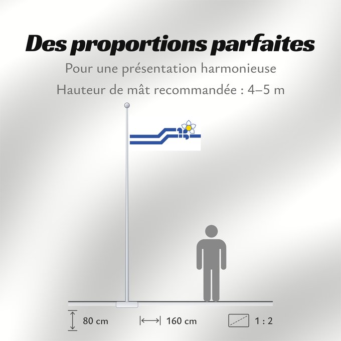 Proportions du drapeau : Franco-Colombiens	Franco-Colombianos	Franco-Kolumbianer	Franco-Colombiani