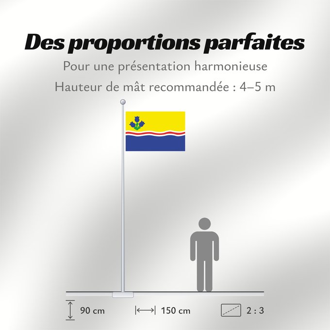 Proportions du drapeau : Lac-Saint-Jean