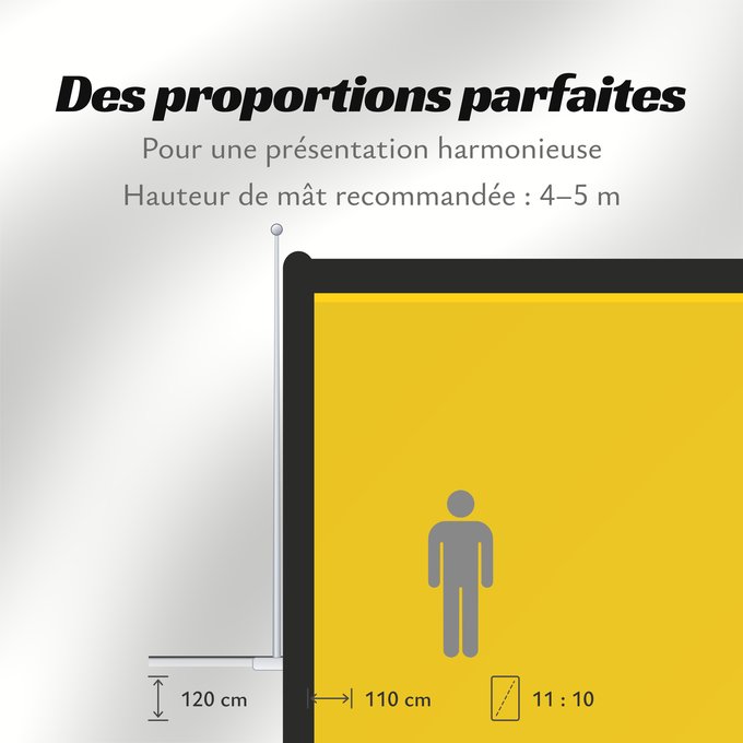 Proportions du drapeau : Lois Hole Arms