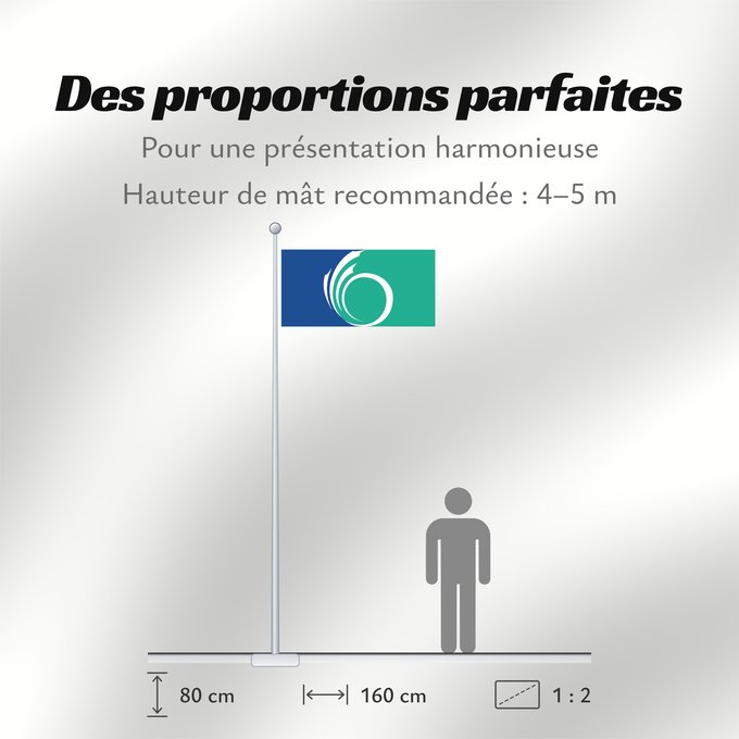 Proportions du drapeau : Ottawa, Ontario City of Ottawa, Ontario