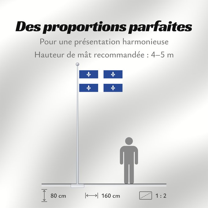 Proportions du drapeau : Quebec  1-2	Quebec with ratio 1 2	Québec  proportion 1 2	Quebec (1:2)	Québec (1:2)