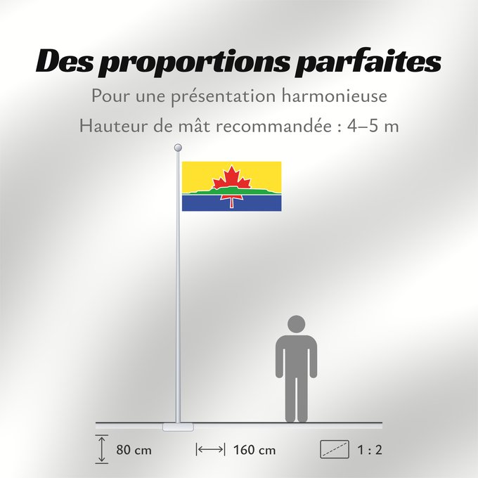 Proportions du drapeau : Thunder Bay	An approximation of the flag of the City of Thunder Bay	Thunder Bay (approximatif)	Thunder Bay (aproximado)	Thunder Bay (ungefähr)	Thunder Bay (approssimato)