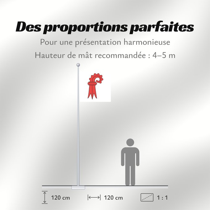 Proportions du drapeau : Canton of Basel Land Basel-Landschaft Bâle-Campagne Basilea-Campiña o Basilea-Campaña Canton of Basel Country Basel Landschaft/Bâle Campagne