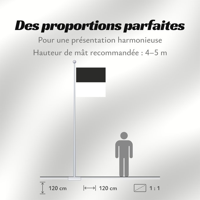 Proportions du drapeau : Canton of Fribourg Fribourg Kanton Freiburg