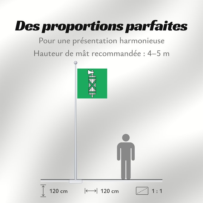 Proportions du drapeau : Canton of Sankt Gallen	Canton of St. Gallen	Saint-Gall	San Galo o San Gall	St. Gallen 	St. Gallen	Canton of Sankt Gallen  Saint Gallen