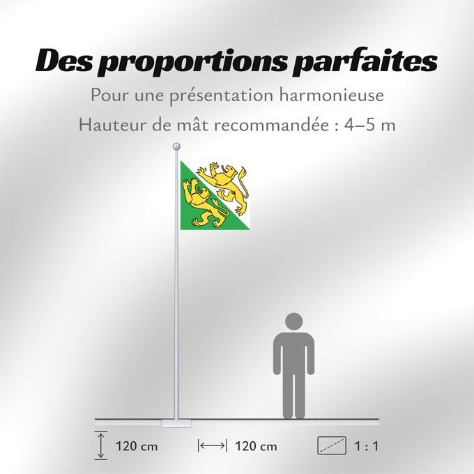 Proportions du drapeau : Canton of Thurgau Thurgau canton de Thurgovie cantón de Turgovia Canton of Thurgau in Switzerland