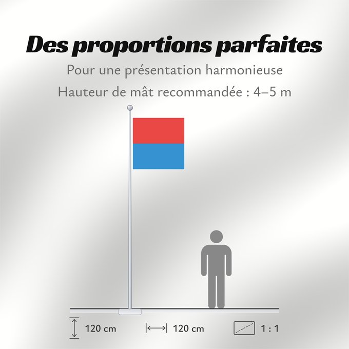 Proportions du drapeau : Canton of Tessin Canton Ticino or Ticino canton du Tessin Cantón del Tesino Ticino Canton of Tessin Switzerland