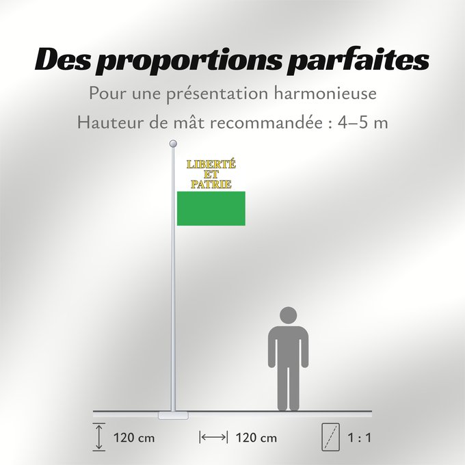 Proportions du drapeau : Canton of Vaud	Vaud	canton de Vaud	República y cantón de Vaud	Vaud 