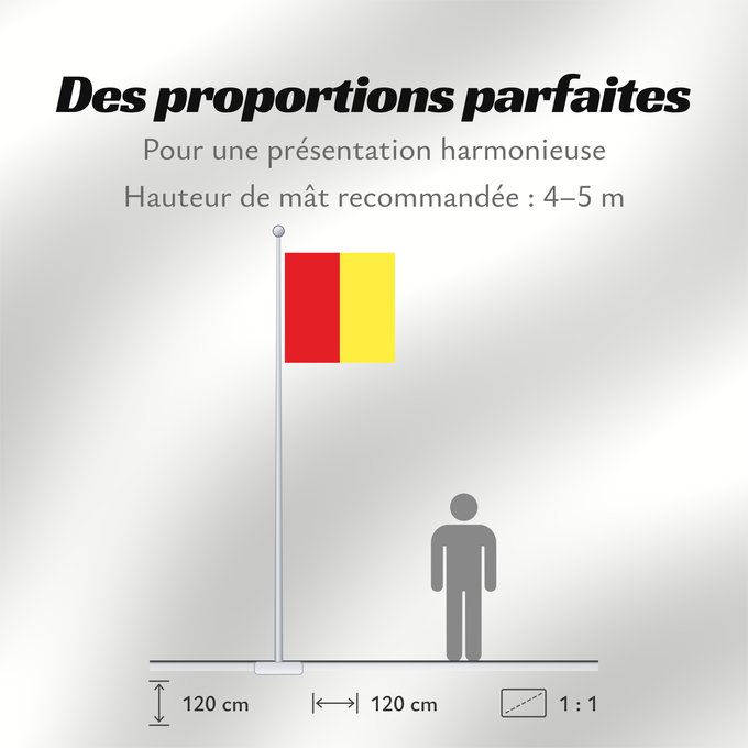 Proportions du drapeau : Aubonne	Swiss municipality of Aubonne, Canton of Vaud	Commune suisse d Aubonne, du canton de Vaud