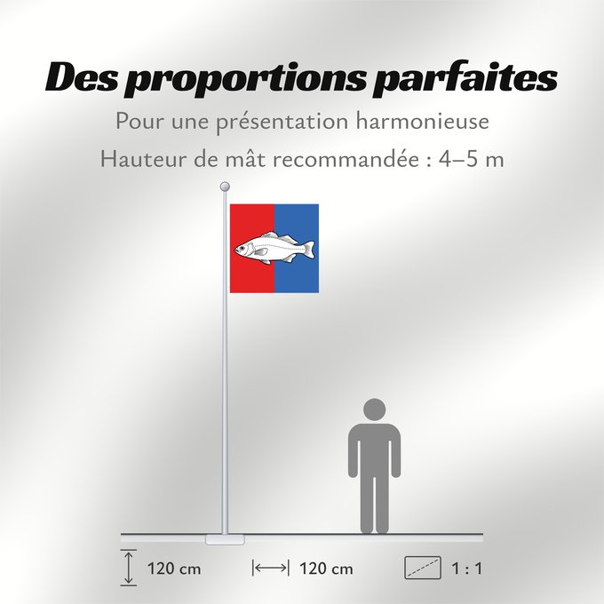 Proportions du drapeau : CHE Nyon	Swiss city Nyon	Miasta Nyon w Szwajcarii