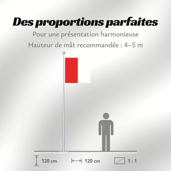 Proportions du drapeau : Payerne	Swiss municipality of Payerne, Canton of Vaud	Commune suisse de Payerne, du canton de Vaud