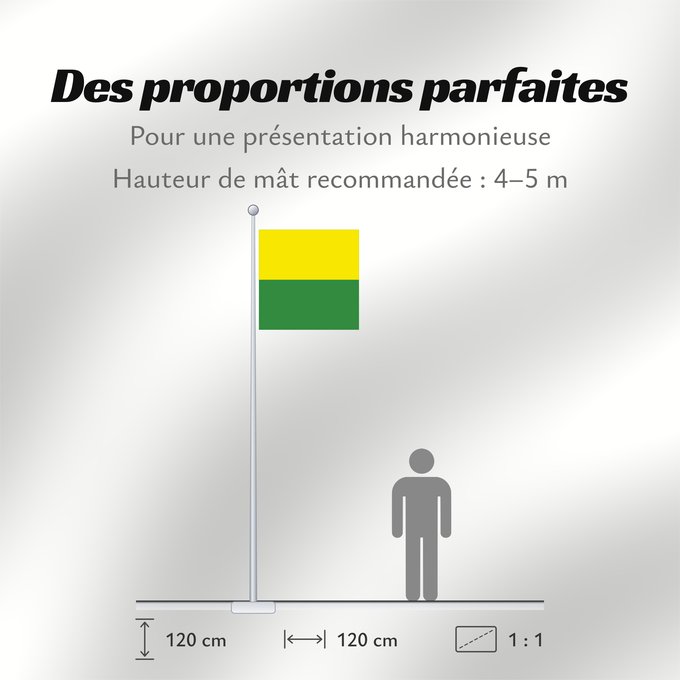 Proportions du drapeau : Rolle Swiss municipality of Rolle, Canton of Vaud Commune suisse de Rolle, du canton de Vaud