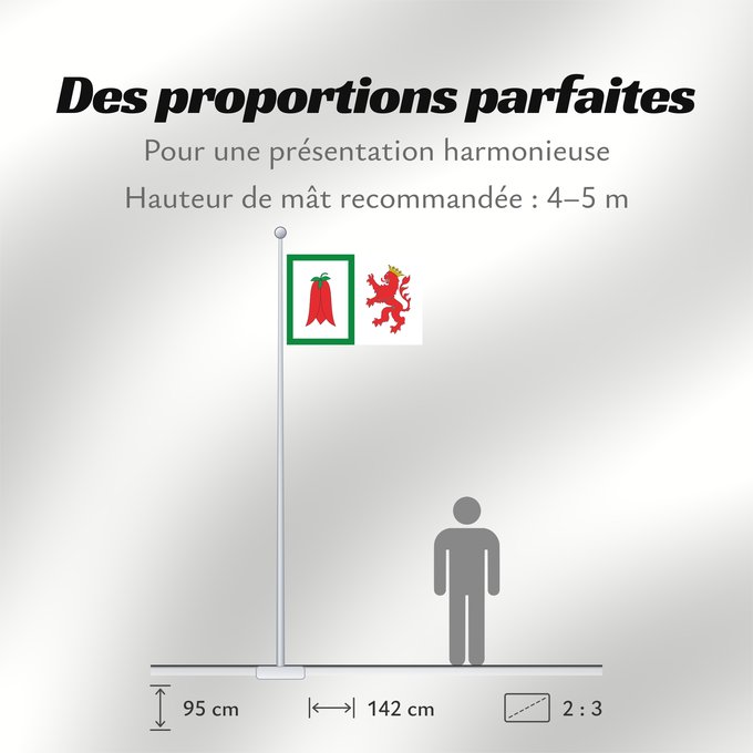 Proportions du drapeau : Arauco	Arauco, Chile