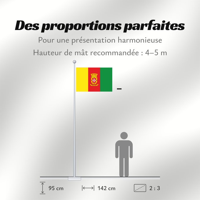 Proportions du drapeau : Hualqui