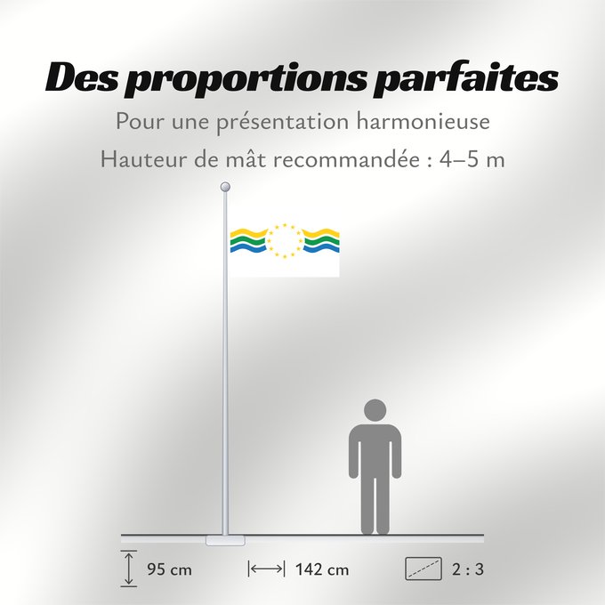 Proportions du drapeau : Los Ríos, Chile Los Ríos Region, Chile Région de Los Ríos, Chili XIV Región de Los Ríos, Chile Regione di Los Ríos, Cile