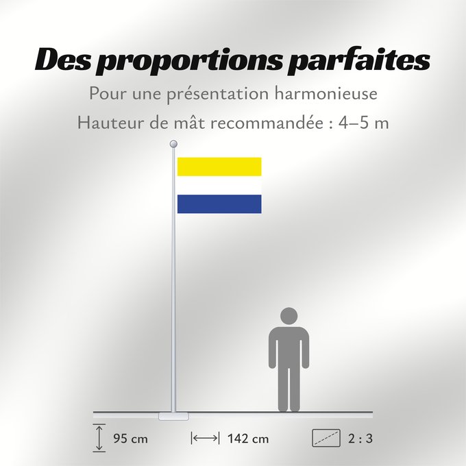 Proportions du drapeau : Panguipulli	Panguipulli, Chile