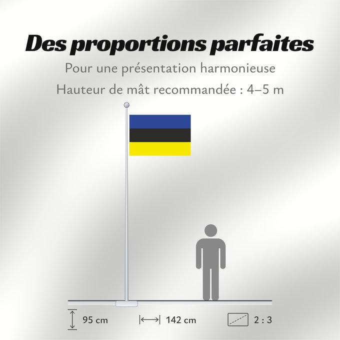 Proportions du drapeau : Placilla, Chile	Placilla