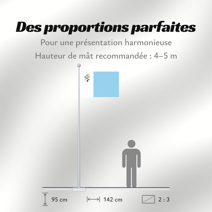 Proportions du drapeau : Río Bueno	Río Bueno, Chile
