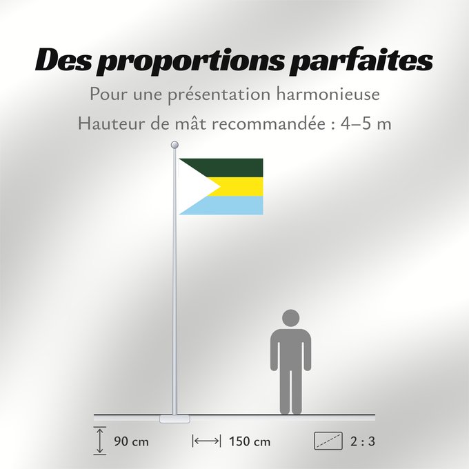 Proportions du drapeau : San Jacinto del Cauca  Bolívar	San Jacinto del Cauca	Municipio de San Jacinto del Cauca  Bolívar