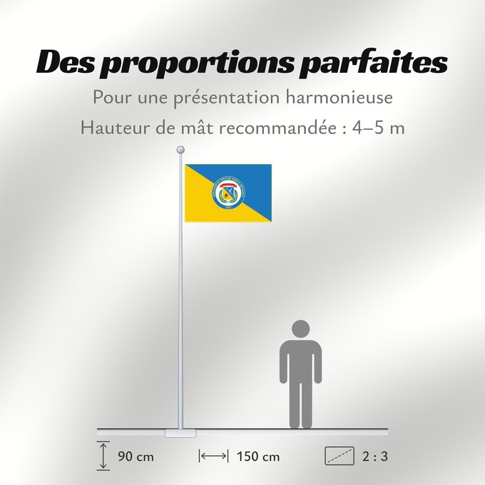 Proportions du drapeau : Universidad Militar Nueva Granada