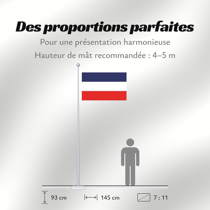 Proportions du drapeau : Valledupar2