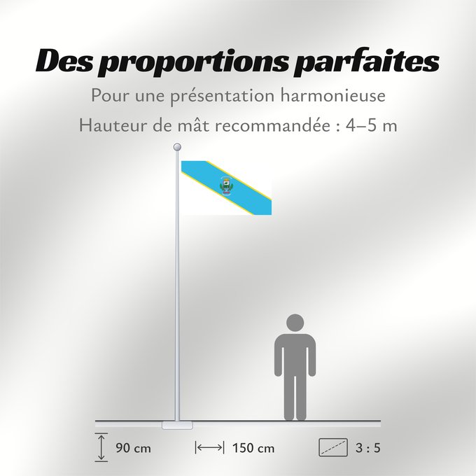 Proportions du drapeau : Desamparados	Desamparados canton as described in Símbolos de Desamparados