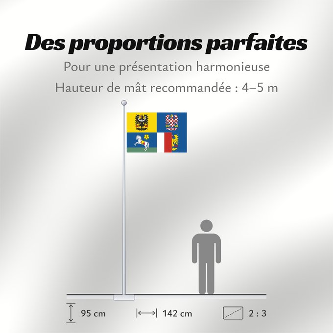 Proportions du drapeau : Moravian-Silesian Region	Région de Moravie-Silésie	Región de Moravia-Silesia	Moravian-Silesian	Moravskoslezského kraje čtvrcený list v horním žerďovém žlutém poli slezská orlice v dolním žerďovém modrém poli na zeleném trávníku