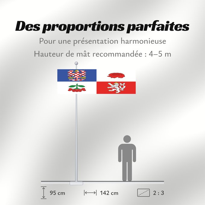Proportions du drapeau : Vysocina Region	Vysočina Region	Région de Vysočina	Región de Vysočina	Region Vysočina
