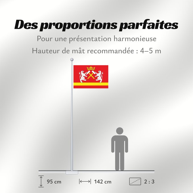 Proportions du drapeau : Abertamy	Municipal flag of Abertamy town