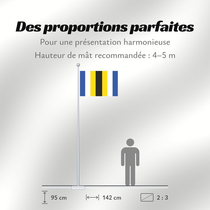 Proportions du drapeau : Borice	Boritz	Bořice, okres Chrudim