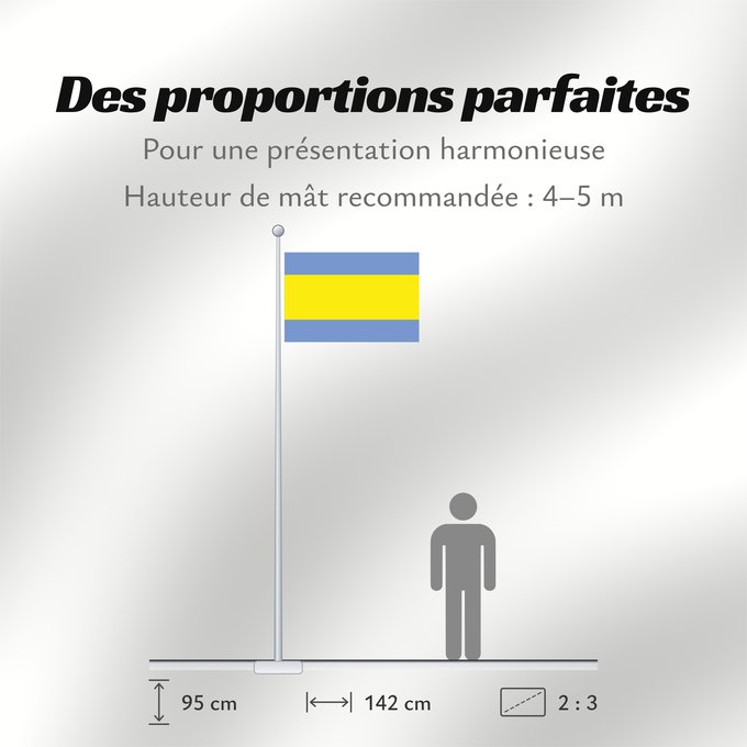 Proportions du drapeau : Dacice