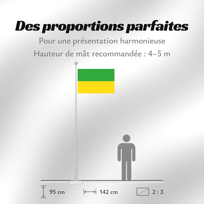 Proportions du drapeau : Dasnice	Dasnice municipality	Dasnice, okres Sokolov