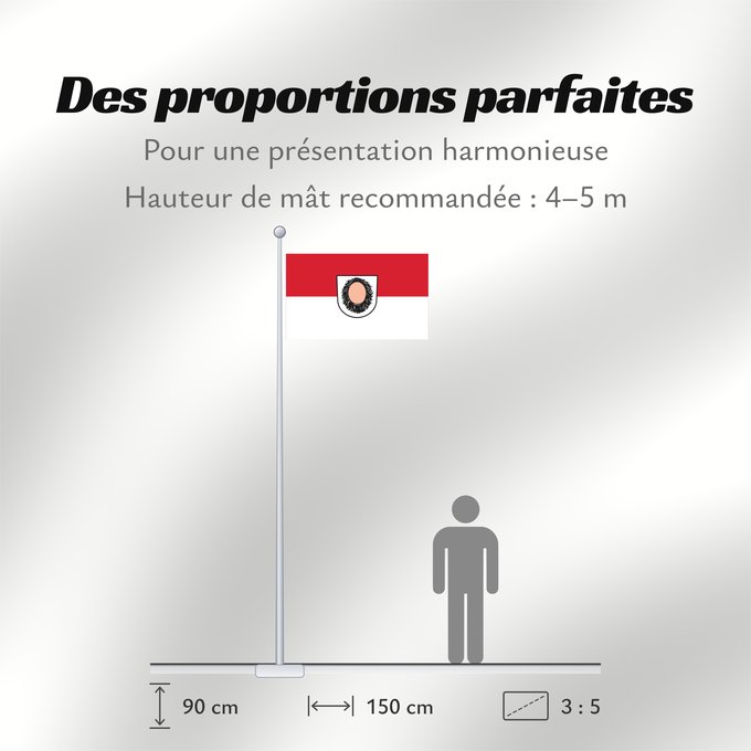 Proportions du drapeau : Pfaffenhofen (Nördliches Baden-Württemberg)