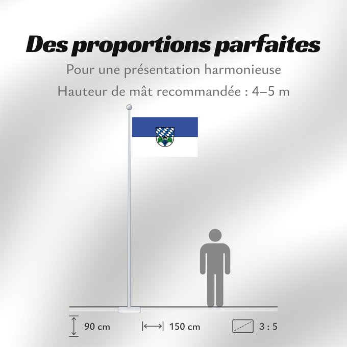 Proportions du drapeau : Haßmersheim (Nördliches Baden-Württemberg)