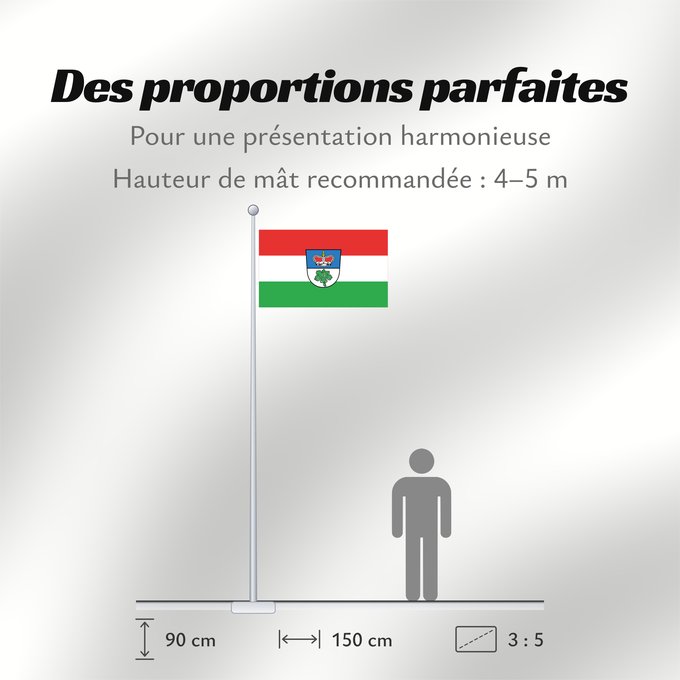 Proportions du drapeau : Berg im Gau (Oberbayerns Städte)
